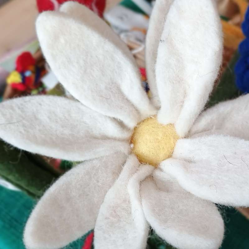 Blume filz 800